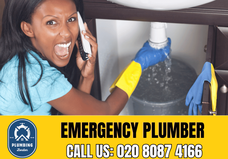 emergency plumber Paddington