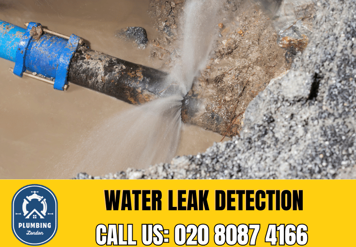 leak detection Paddington